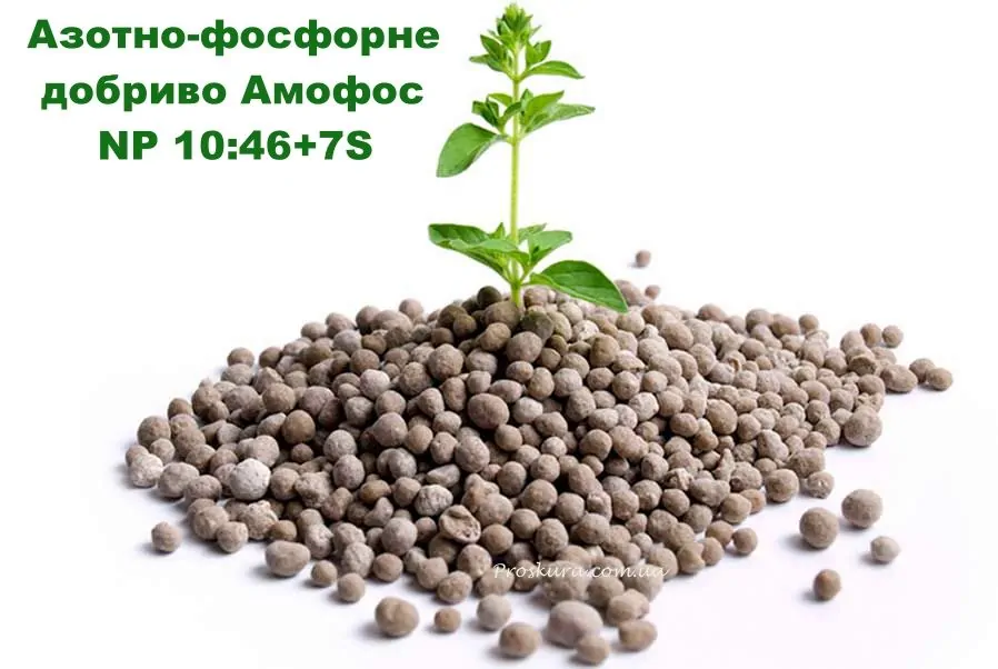 Азотно-фосфорное удобрение Аммофос NP10:46+7S