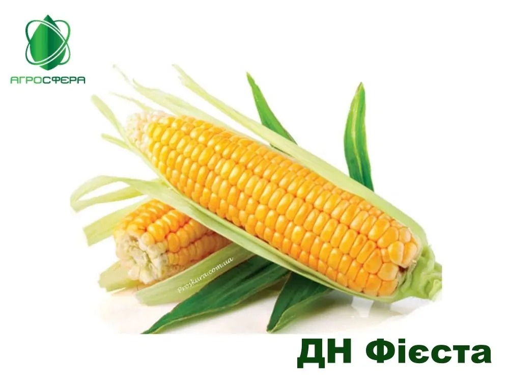 Семена кукурузы ДН Фиеста