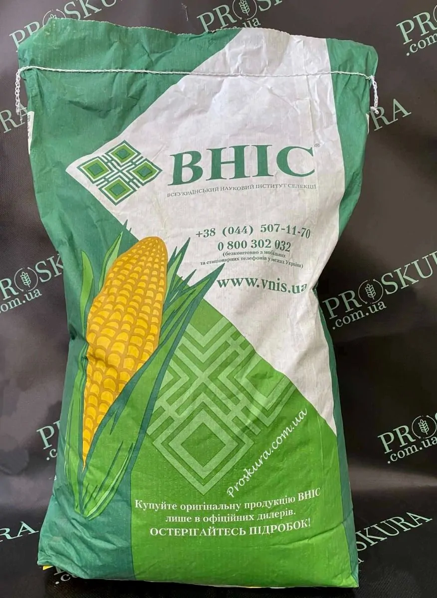 Семена кукурузы ВН 6763 2023 р/у