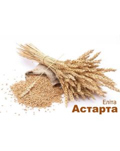 Семена пшеницы Астарта