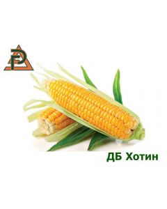 Семена кукурузы ДБ Хотин (РостАгро)
