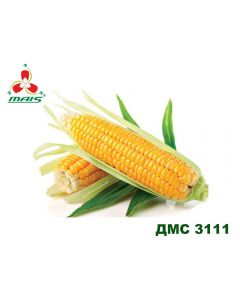 Семена кукурузы ДМС 3111