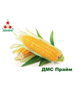 Семена кукурузы ДМС Прайм