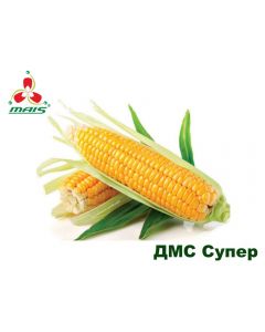 Семена кукурузы ДМС Супер