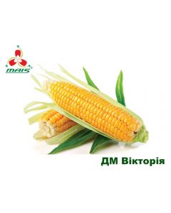 Семена кукурузы ДМ Виктория 