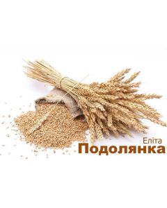 Насіння пшениці Подолянка